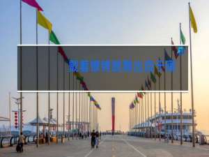 戴着镣铐跳舞出自于哪