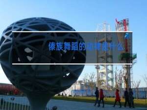 傣族舞蹈的动律是什么