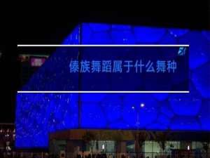 傣族舞蹈属于什么舞种