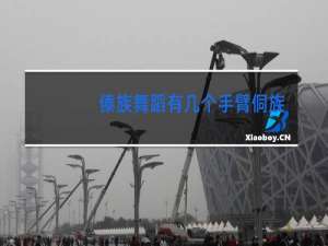 傣族舞蹈有几个手臂侗族