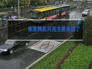 傣族舞蹈月亮主要表现了什么