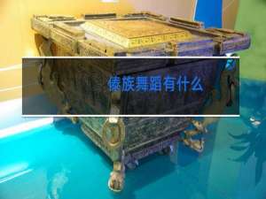 傣族舞蹈有什么