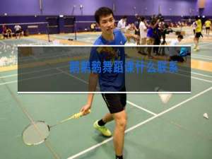 鹅鹅鹅舞蹈课什么联系