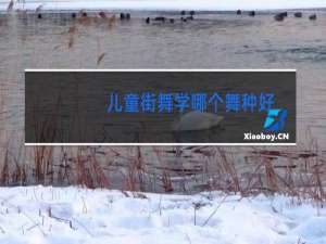 儿童街舞学哪个舞种好