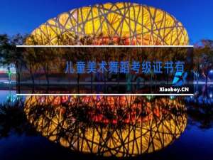 儿童美术舞蹈考级证书有用吗
