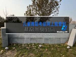儿童舞蹈考级网上能查到么
