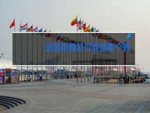 法国街舞尼尔森是哪个舞团