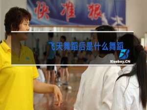 飞天舞蹈后是什么舞蹈