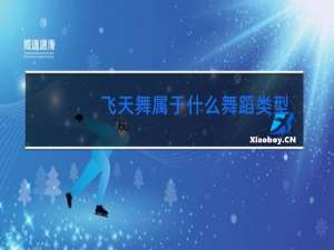 飞天舞属于什么舞蹈类型