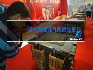 风中奇缘沈月跳舞是第几集