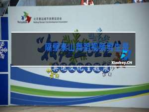 隔壁泰山舞蹈视频男生是谁教的