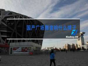 国产广场舞音响什么牌子的好