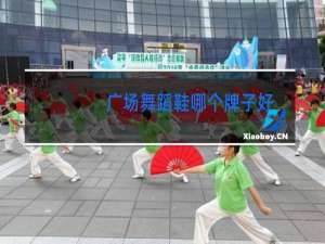 广场舞蹈鞋哪个牌子好