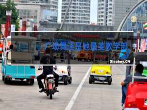 广场舞还是她最美教学部分