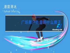 广场舞户外音响什么牌子好