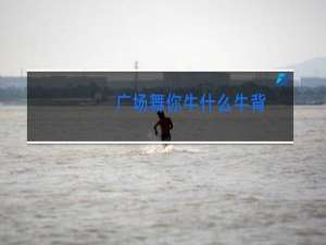 广场舞你牛什么牛背