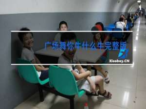 广场舞你牛什么牛完整版