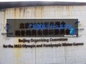 广场舞起个什么名字好