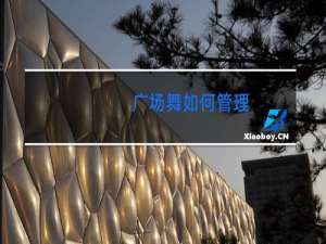 广场舞如何管理