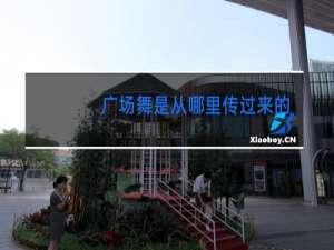 广场舞是从哪里传过来的
