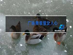 广场舞谁懂女人心