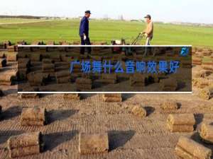 广场舞什么音响效果好