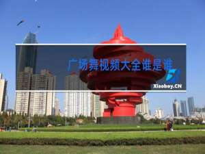 广场舞视频大全谁是谁