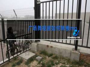 广场舞视频如何转换mp3