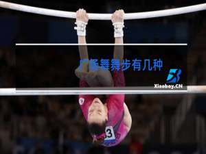 广场舞舞步有几种