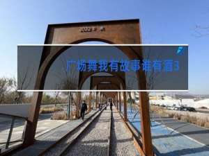 广场舞我有故事谁有酒32步