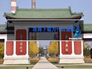 广场舞下载为什么播放不了