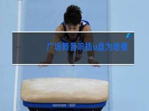 广场舞音响插u盘为啥播放不了