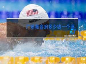 广场舞音响多少钱一个落