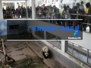 广场舞音响哪个品牌音量