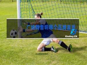 广场舞音响哪个品牌音质最好