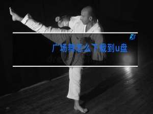 广场舞怎么下载到u盘