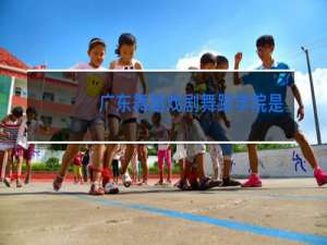 广东舞蹈戏剧舞蹈学院是本科吗