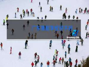 广东舞蹈学校好不好