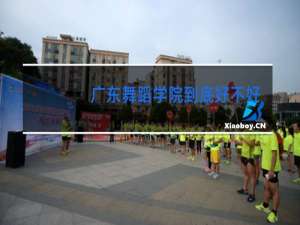 广东舞蹈学院到底好不好