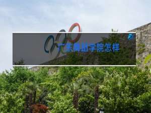 广东舞蹈学院怎样