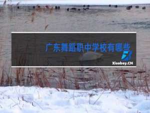 广东舞蹈职中学校有哪些