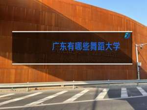 广东有哪些舞蹈大学