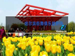 哈尔滨街舞俱乐部好吗