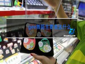 gee舞蹈主要表达什么