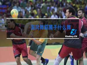 国风舞蹈属于什么舞