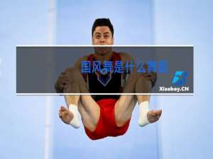 国风舞是什么舞蹈