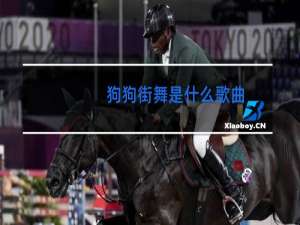 狗狗街舞是什么歌曲