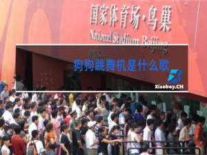 狗狗跳舞机是什么歌