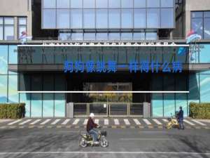 狗狗像跳舞一样得什么病了