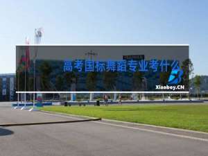 高考国标舞蹈专业考什么